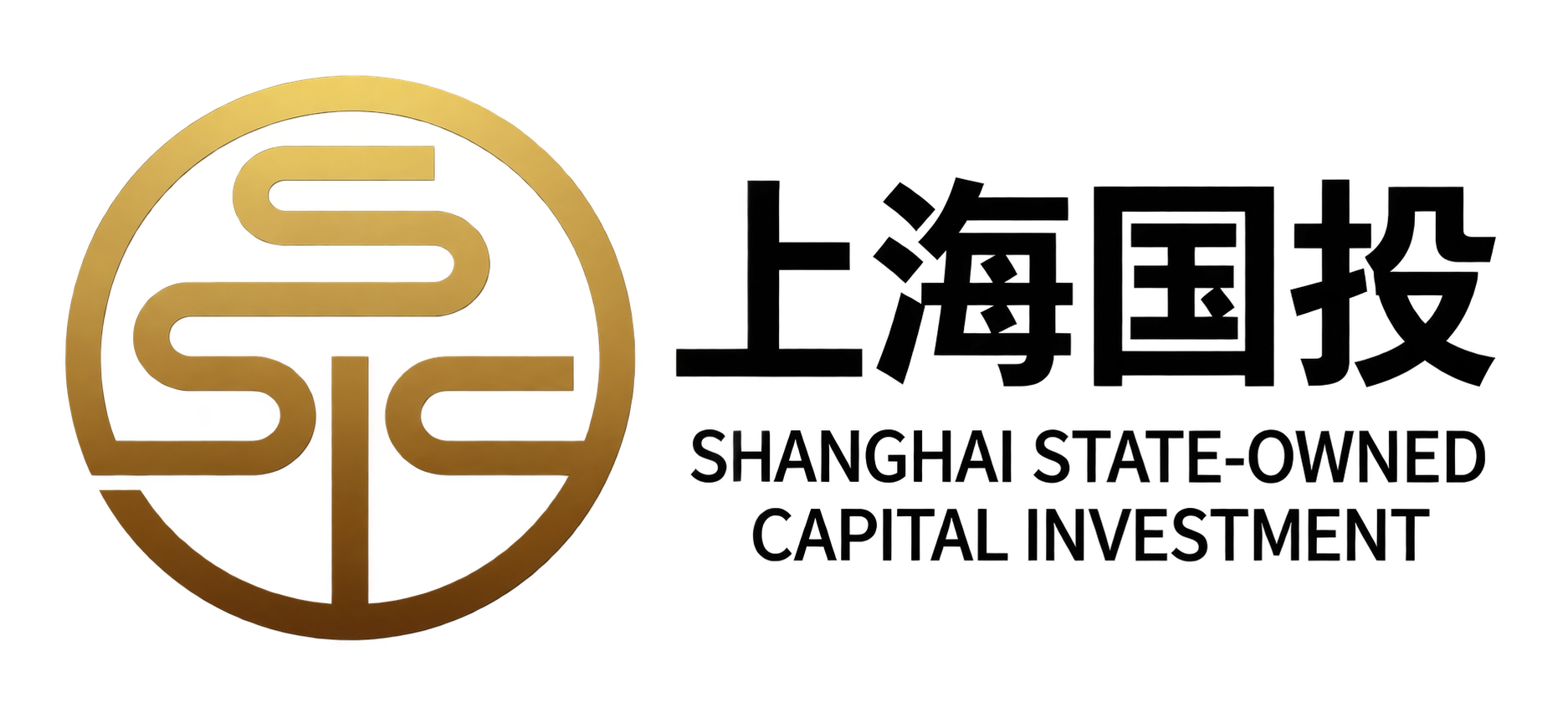 上海国投